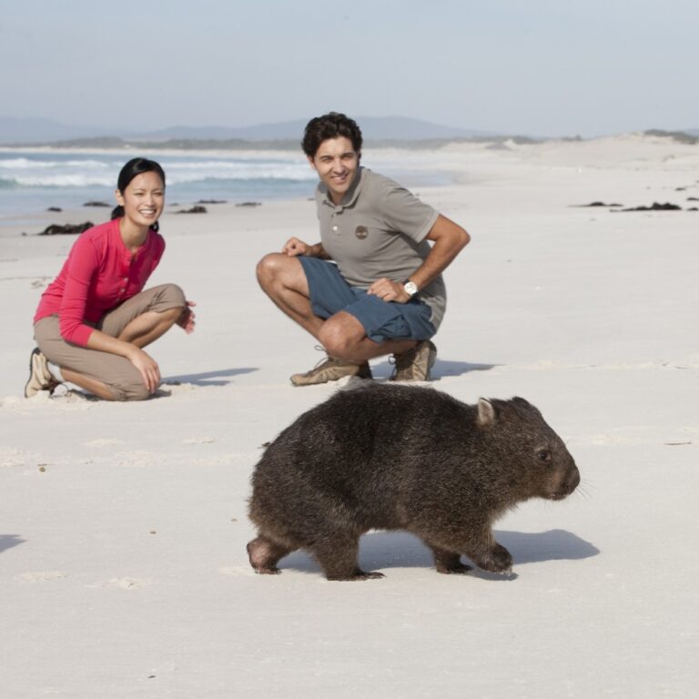Bay of Fires, Tasmania