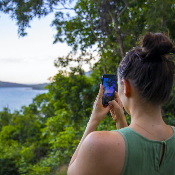 1 Day Cape Tribulation Tour – Bild 4