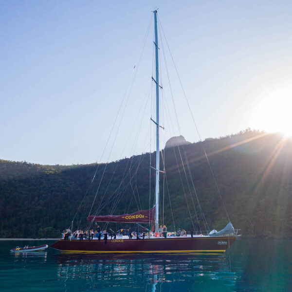 2 Day / 2 Night Condor Whitsundays Sailing Adventure - Image 4