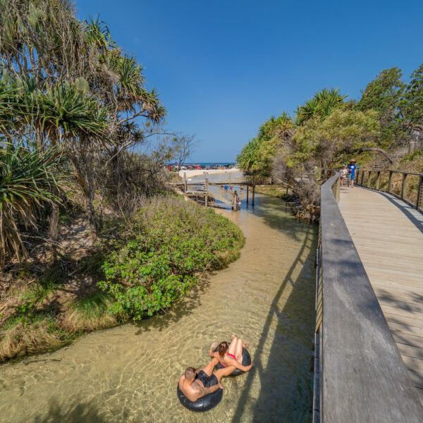 1 Day Fraser Island Guided Tour - Image 4