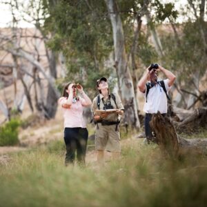 3 Day Flinders Ranges and Outback Tour