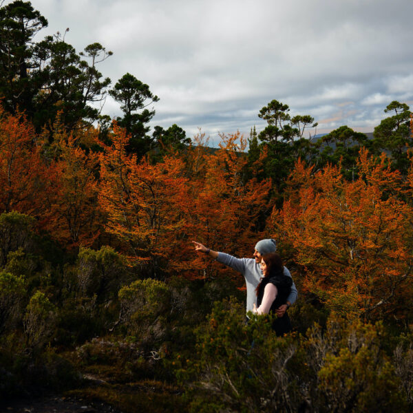 7 Day Hobart to Hobart Super Tour - Image 6