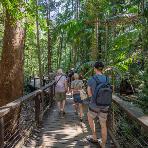 1 Day Fraser Island Guided Tour - Image 2
