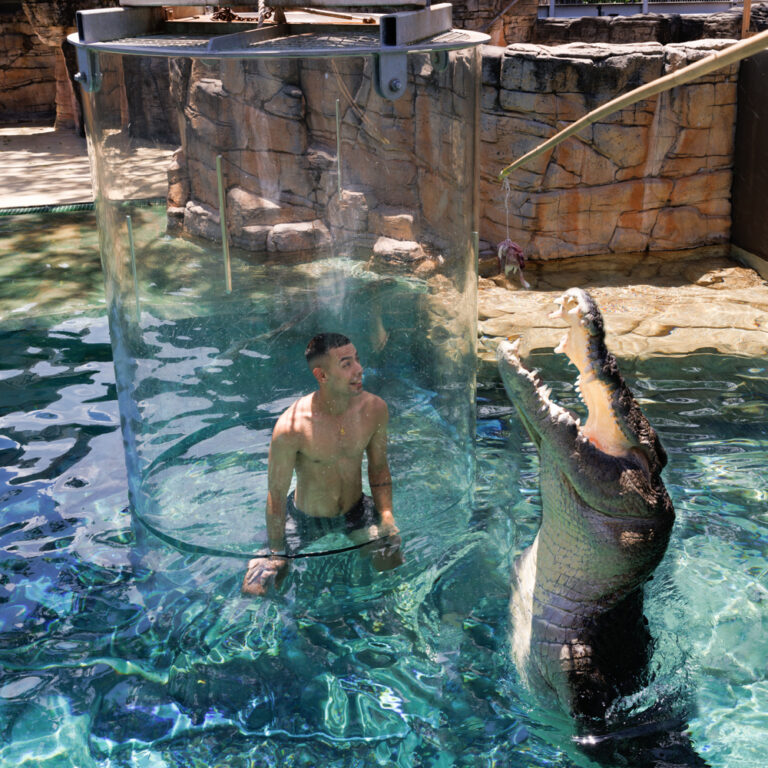 Get-up-close-and-personal-with-one-of-Australias-most-iconic-creatures-at-Croc-Cove-1-1.jpg