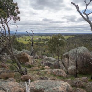 1 Day Grampians Great Escape Tour