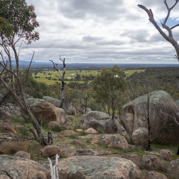 1 Day Grampians Great Escape Tour - Image 2