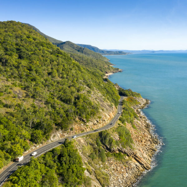 1 Day Cape Tribulation Tour – Bild 3