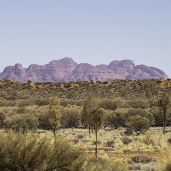 8-tägige Tour vom Uluru nach Adelaide – Bild 2