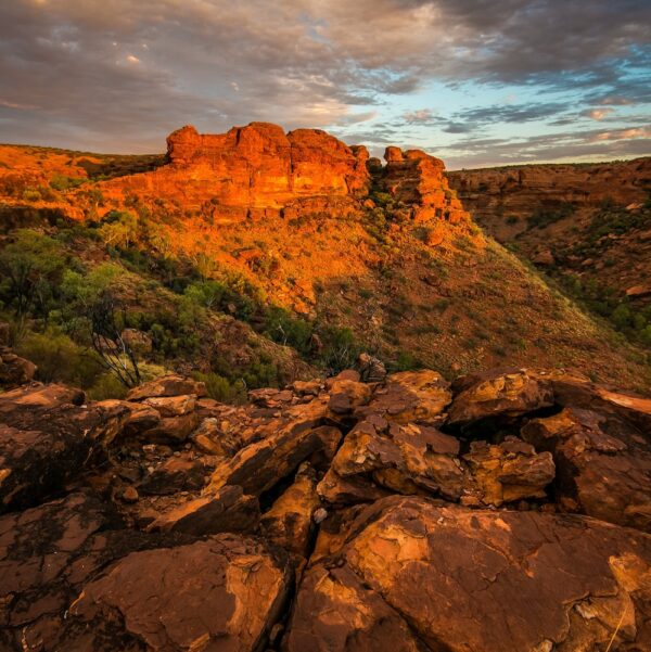 5-tägige Campingtour im Red Centre Outback – Bild 5
