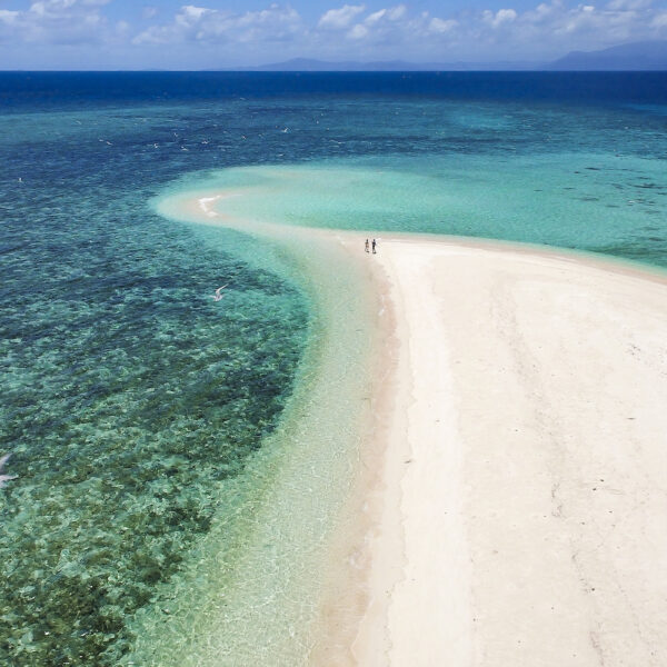 1 Day Low Isles Tour – Bild 2