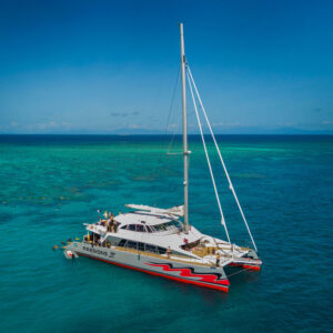 1 Day Great Barrier Reef Cruise