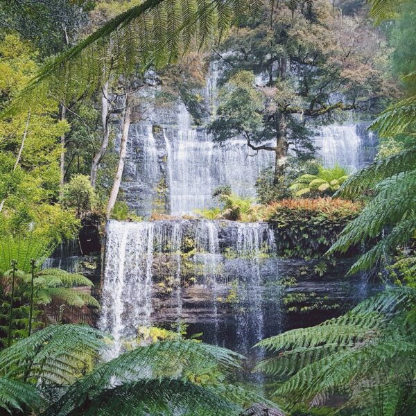10 Day Complete Tasmania Tour - Image 2