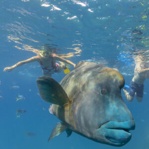 1 Day Thundercat Whitsundays Tour
