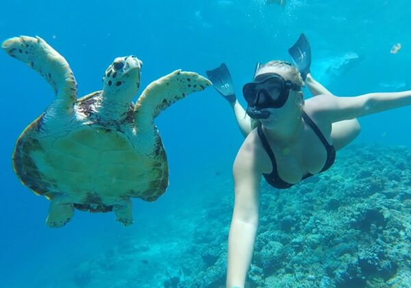 21 Day Island and Outback Adventure (Bali to Alice Springs) - Image 8