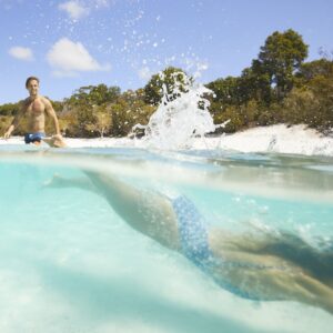 20 Day Brisbane to Cairns Backpacker Tour