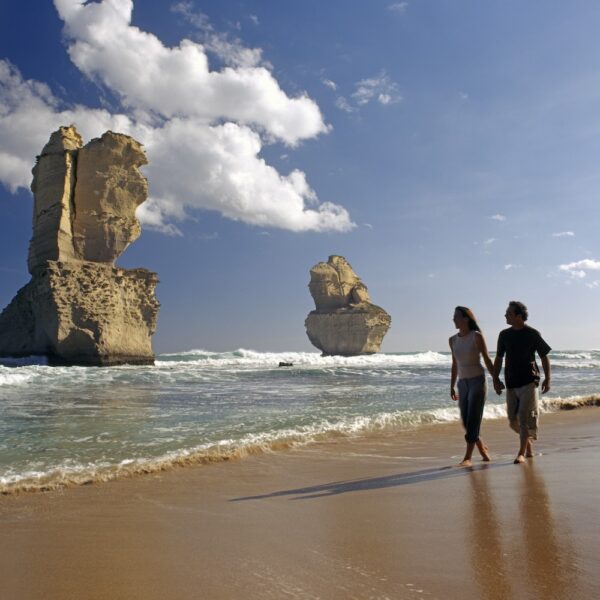 1 Day Great Ocean Road Experience with 12 Apostles – Bild 4