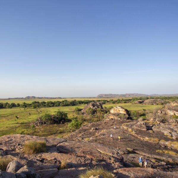 1 Tag Kakadu Nationalpark Tour – Bild 4