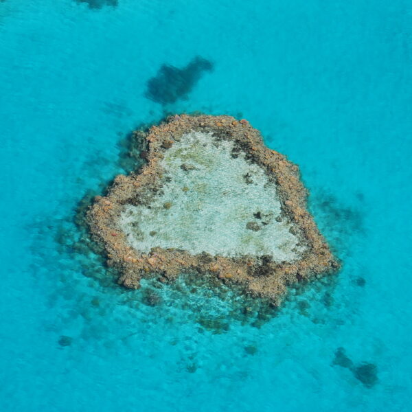 Reef and Whitehaven Scenic Flight from Whitsunday Airport