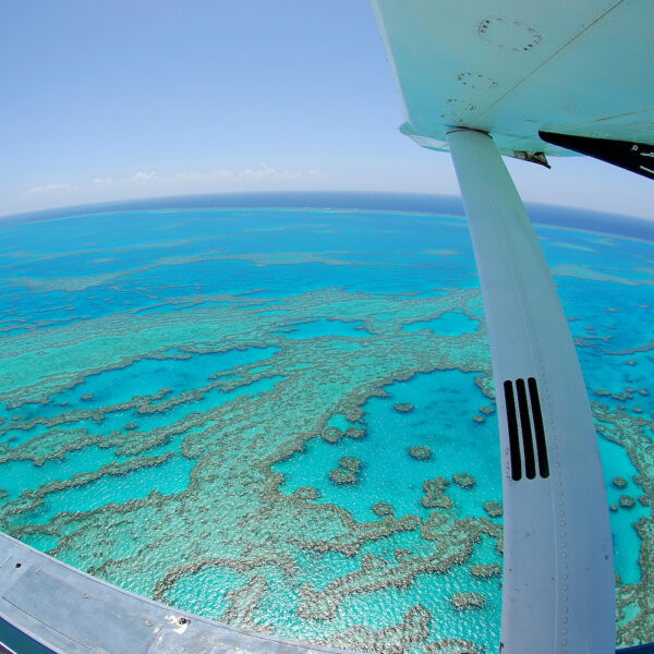 Reef and Whitehaven Scenic Flight from Whitsunday Airport – Bild 3