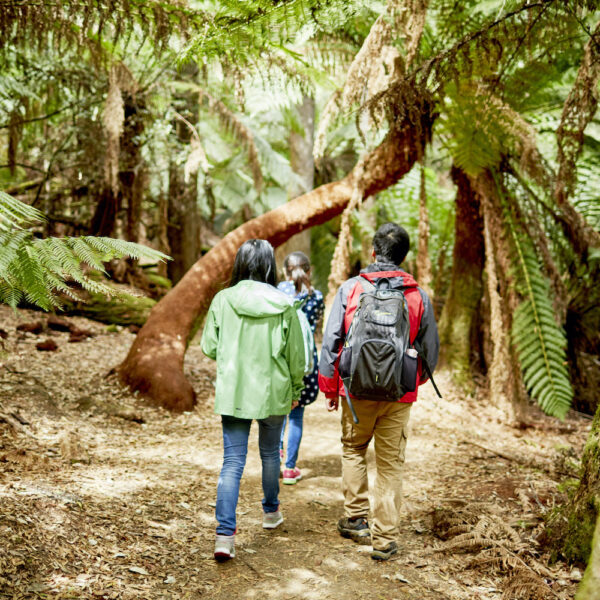 6 Day Tasmania Tour from Hobart – Bild 6
