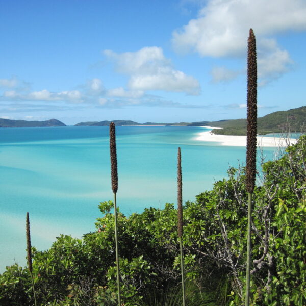 3 Day / 3 Night Whitsunday Getaway Sailing - Image 3