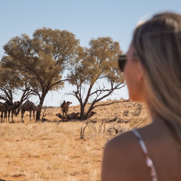 4 Day Red Centre Uluru to West Macdonell Ranges Tour from Alice Springs - Image 3