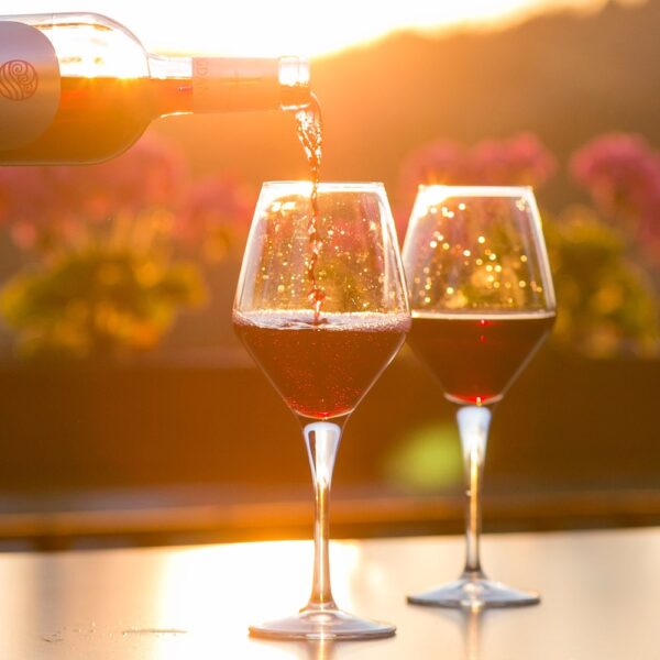 1 Day Margaret River Wine tour