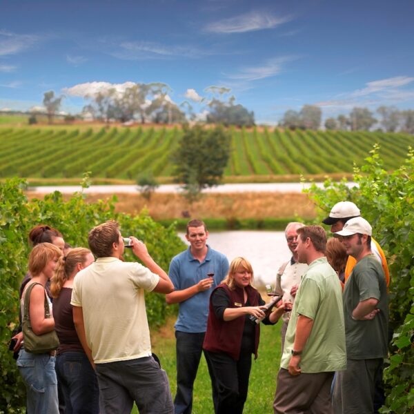 1 Day Discover the Yarra Valley Wine Tour - Image 2