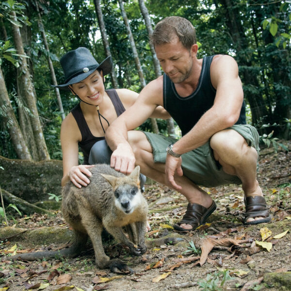 1 Day Cape Tribulation Tour