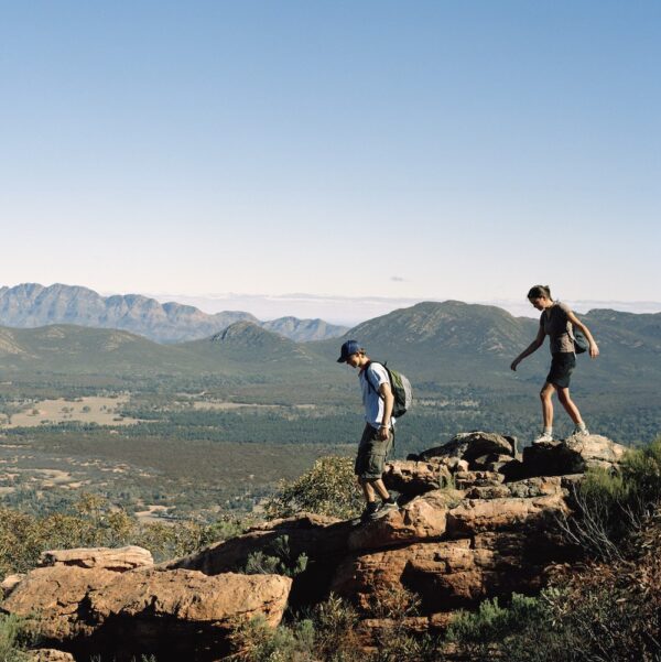 8-tägige Tour vom Uluru nach Adelaide – Bild 6