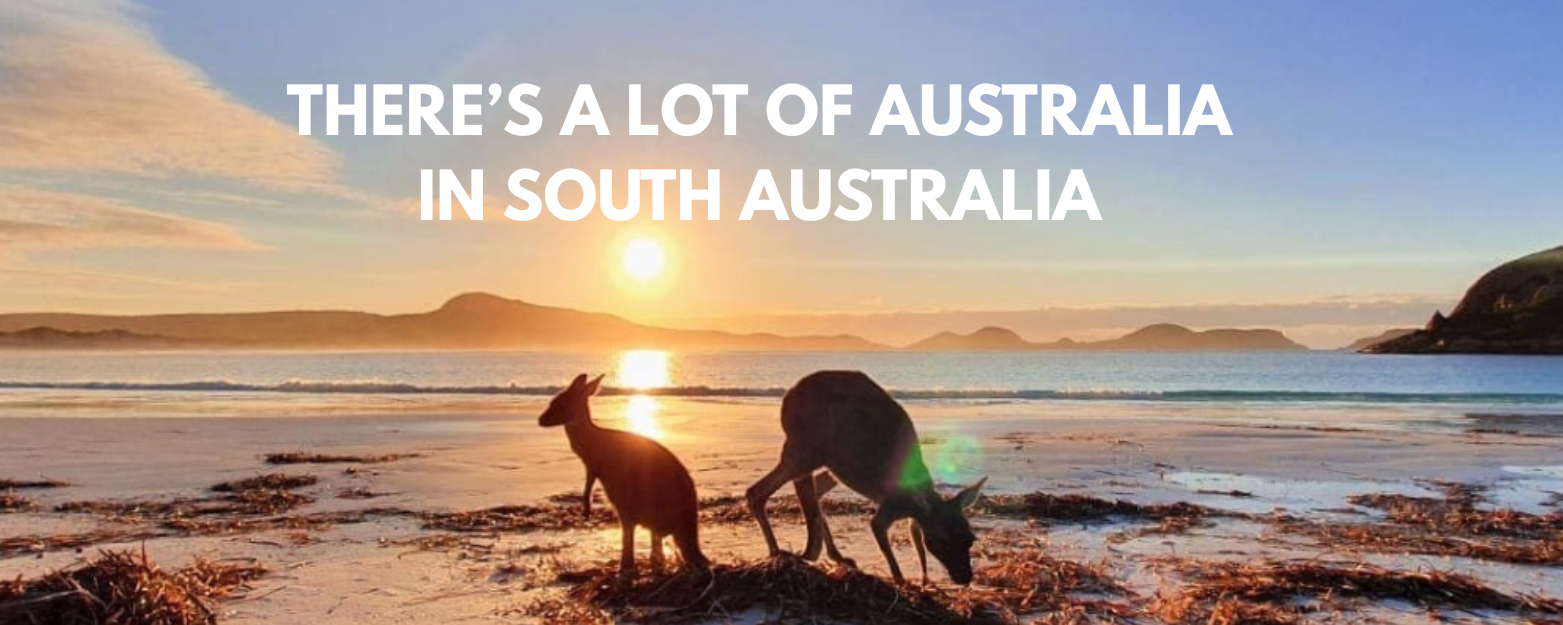 THERE’S A LOT OF AUSTRLIA IN SOUTH AUSTRALIA
