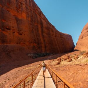 5 Day Red Centre Outback Camping Tour (Yulara to Alice Springs)